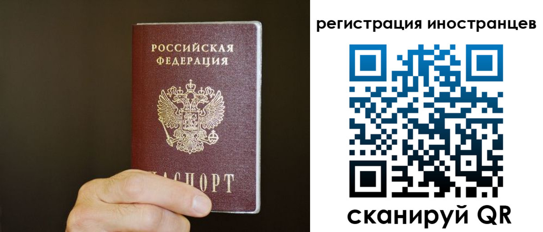 прописка в Щучье